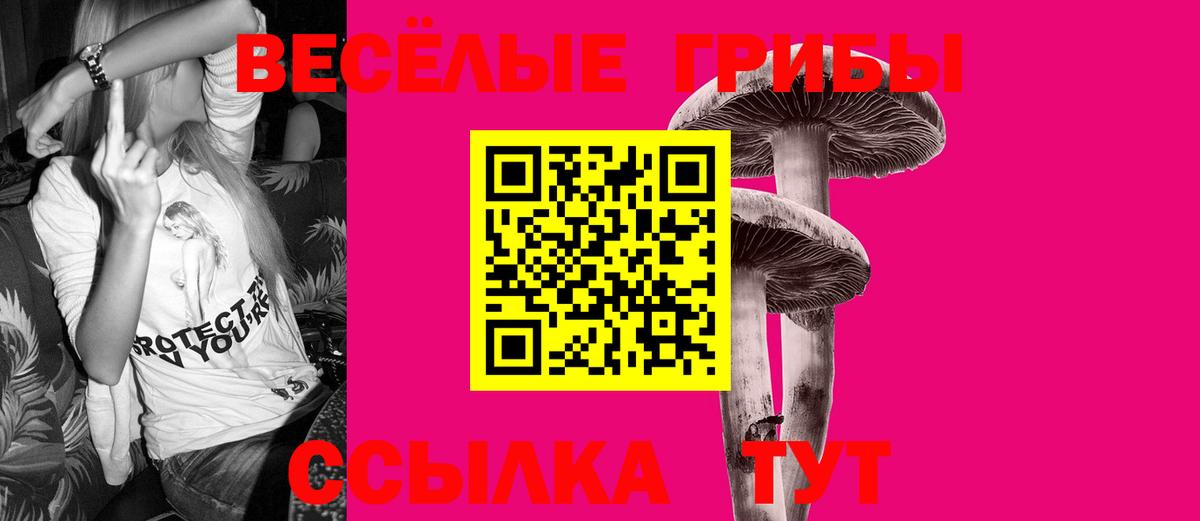 Вязники  Псилоцибиновые грибы Psilocybe  Вход с VPN  Галлюциногенные грибы прущие грибы 